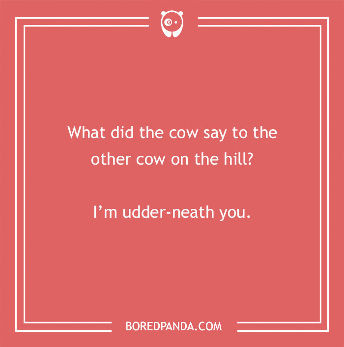Cow pun asking what one cow said to another on the hill with a playful udder-neath you joke on a red background. - 25