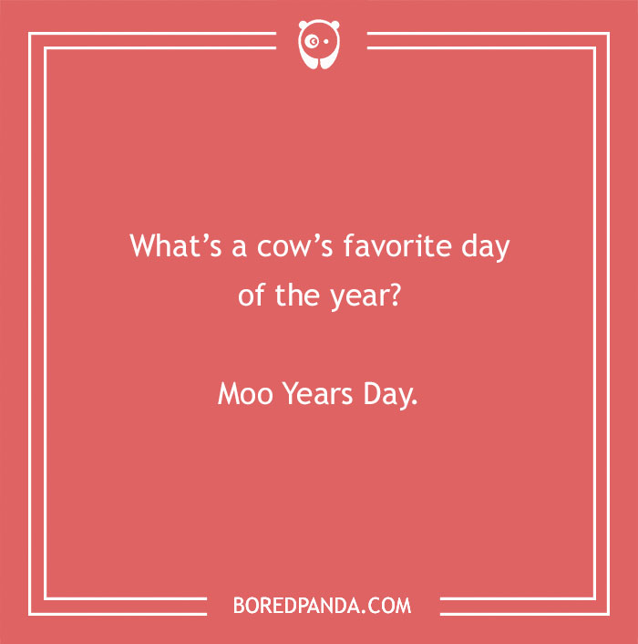 Cow pun image with a joke about a cow's favorite day of the year called Moo Years Day. - 26