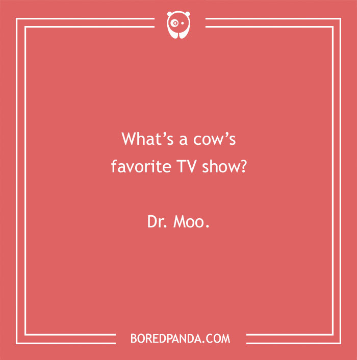 Cow pun humor asking about a cow's favorite TV show with the answer Dr. Moo on a red background. - 29