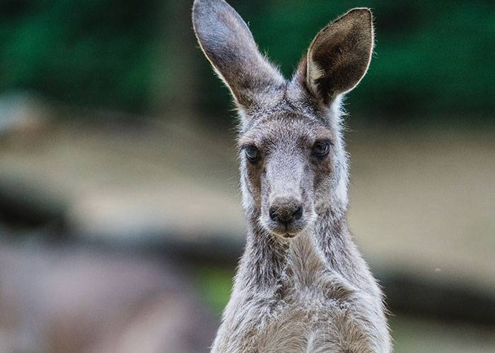 30 People Who Work In The Aviation Industry Share The Craziest Things They Have Seen