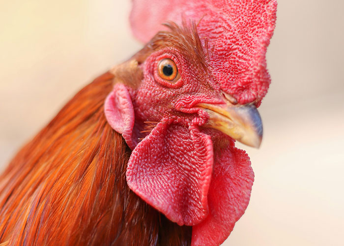 30 People Who Work In The Aviation Industry Share The Craziest Things They Have Seen