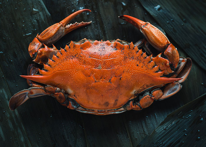 30 People Who Work In The Aviation Industry Share The Craziest Things They Have Seen