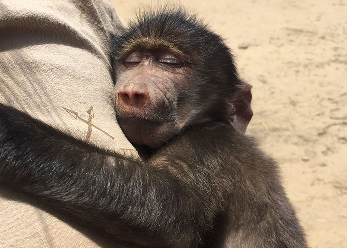 30 People Who Work In The Aviation Industry Share The Craziest Things They Have Seen