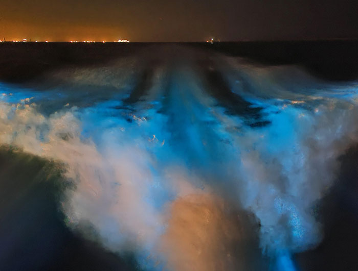 35 ‘Horror Stories’ From People Who Have Seen Things In The Ocean They Wish They Could Forget