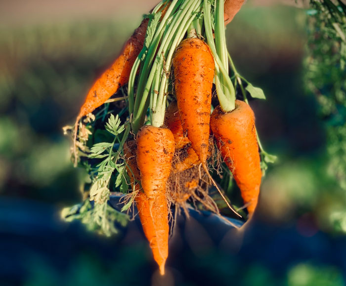 30 False Facts That Are So Ingrained In People’s Minds They Can’t See The Truth, As Shared Online