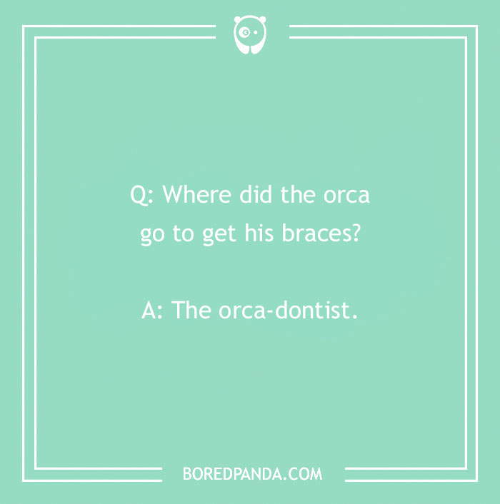 Dental joke with a pun about an orca getting braces from an orca-dontist on a green background.