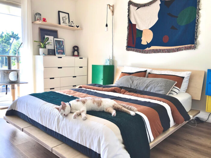 Cat sleeping on the bed with striped linen