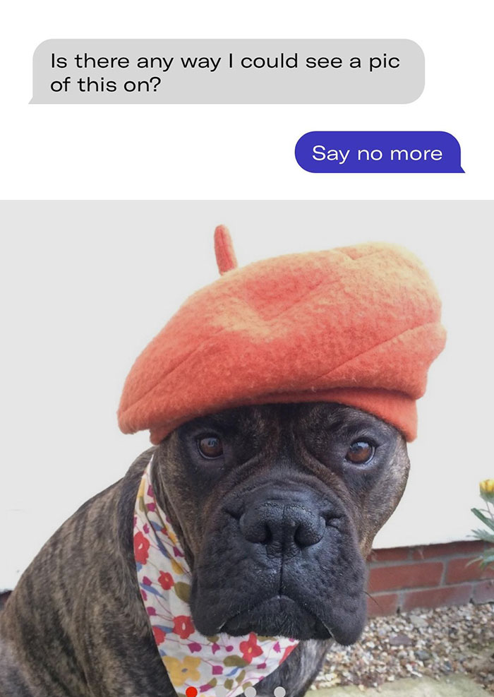 Dm-Drama-Funny-Screenshots