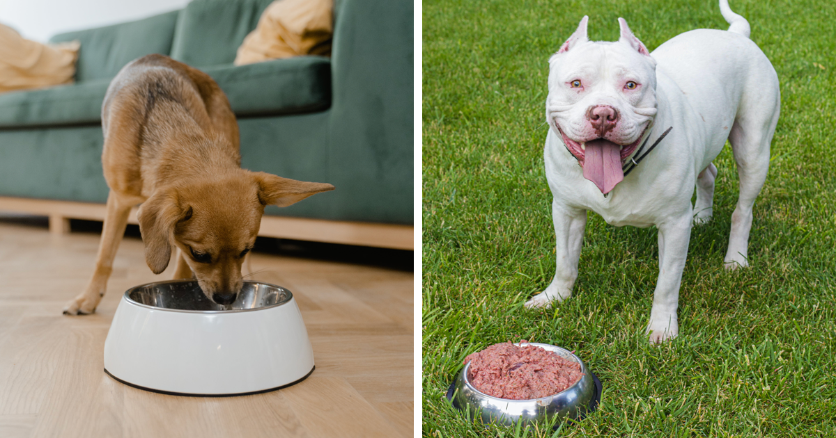 Health and medical reasons for appetite changes