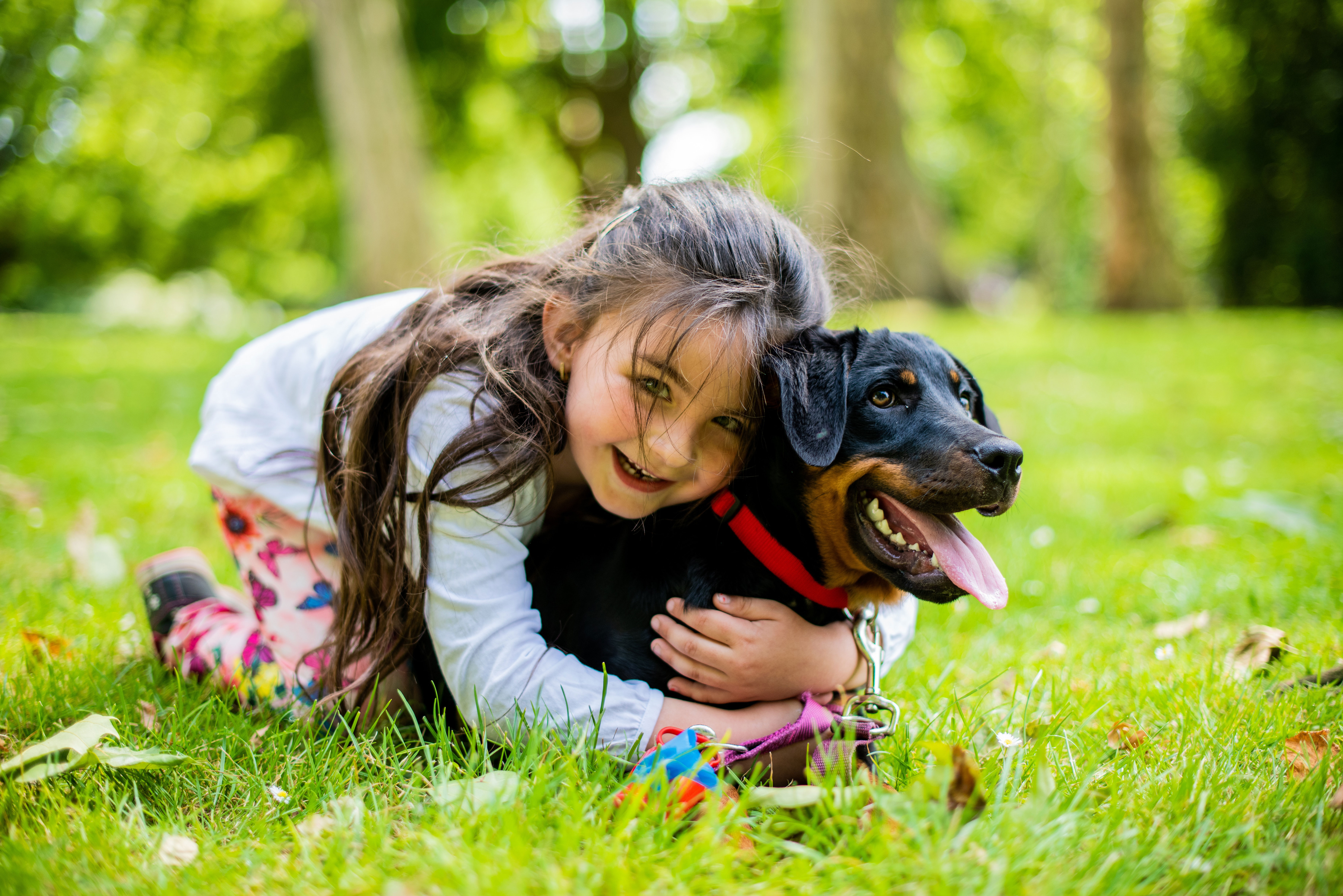 Child hugging a dog in a park, showcasing the bond between dogs and babies.