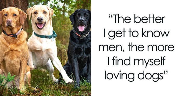 I Created A “Motivational Dog Quotes” Series To Help All Dog Lovers Laugh And Smile Together (12 New Pics)