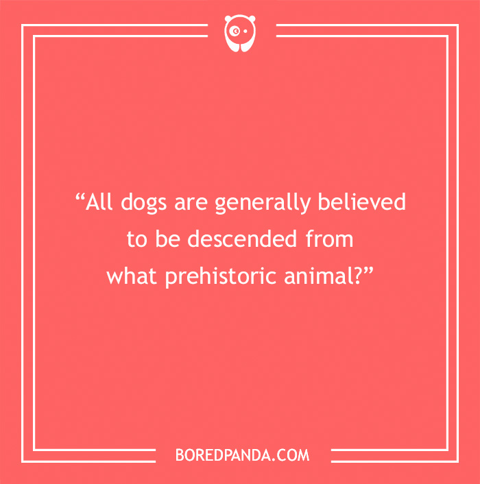 Fun Dog Trivia About All The Good Bois And Gals