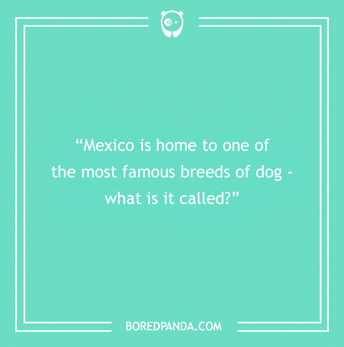 Fun Dog Trivia About All The Good Bois And Gals