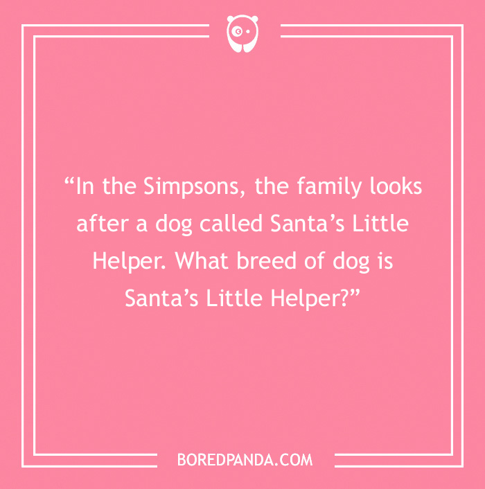 Fun Dog Trivia About All The Good Bois And Gals