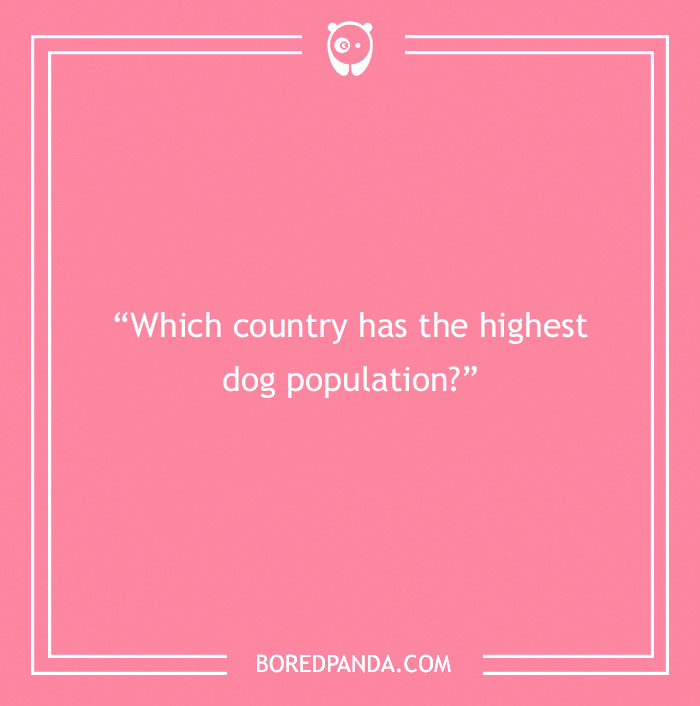 Fun Dog Trivia About All The Good Bois And Gals