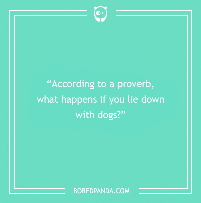 Fun Dog Trivia About All The Good Bois And Gals