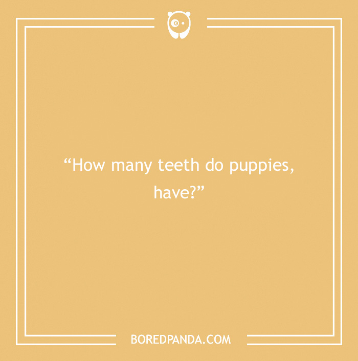 Fun Dog Trivia About All The Good Bois And Gals