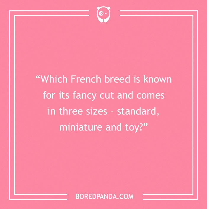 Fun Dog Trivia About All The Good Bois And Gals