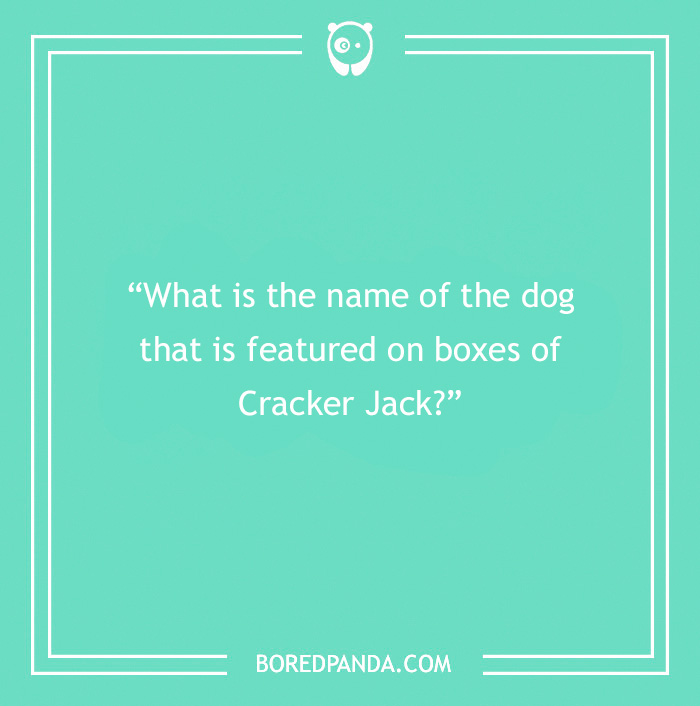 Fun Dog Trivia About All The Good Bois And Gals