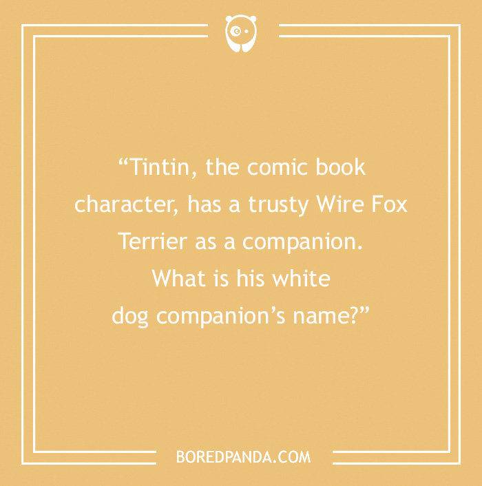 Fun Dog Trivia About All The Good Bois And Gals
