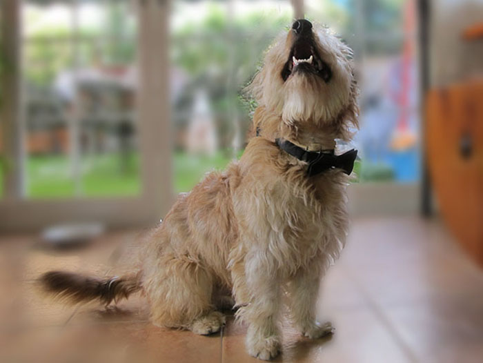 Parents Get Mad About Living In Daughter&rsquo;s Totally Converted Garage, She Suggests The Nursing Home