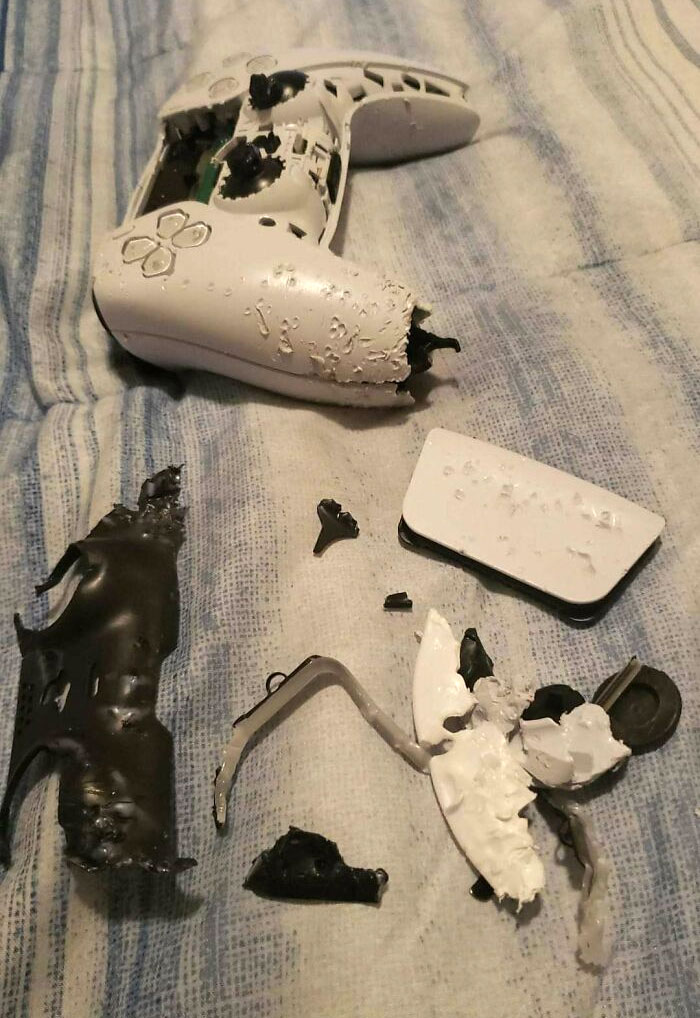 Finally After A Year I Was Able To Buy A Retail PS5. My Dog Was Super Excited Too