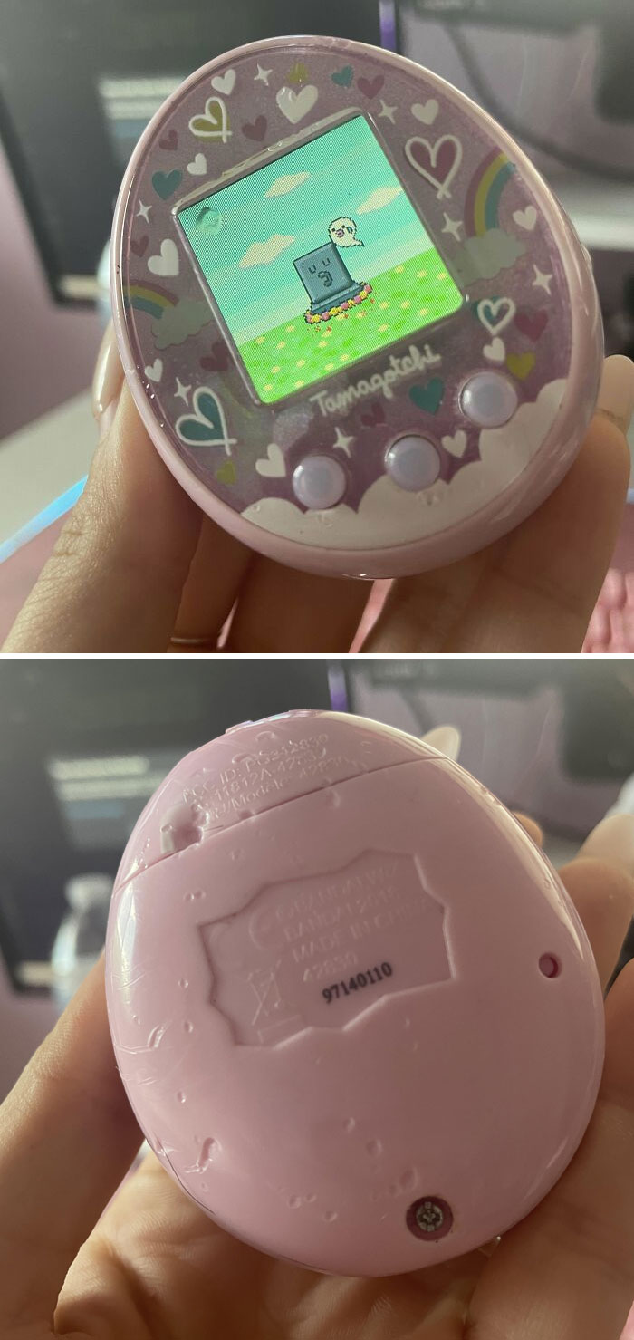 Recently Learned These Go For $100 Now That They’re Discontinued. Today My Dog Decided It Was His Next Chew Toy