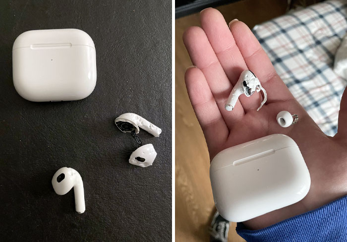 My Dog Ate My Brand New AirPods, So I Bought The Pros