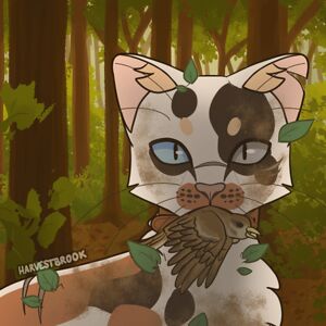 adina-nall212 avatar