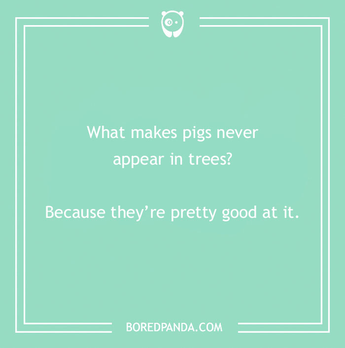 Light green background with a dry humor joke about pigs and trees, showcasing dry humor jokes content.