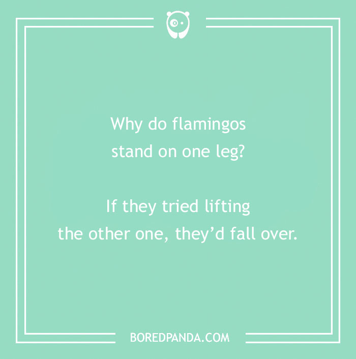 Dry humor joke about flamingos standing on one leg with a simple, witty punchline on a mint green background.