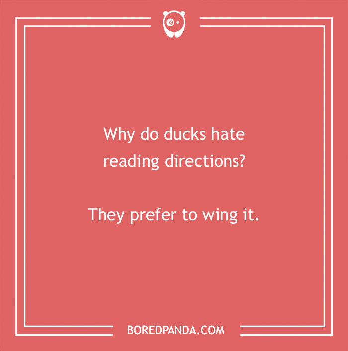 Duck pun about reading directions on a pink background with Bored Panda logo. - 1