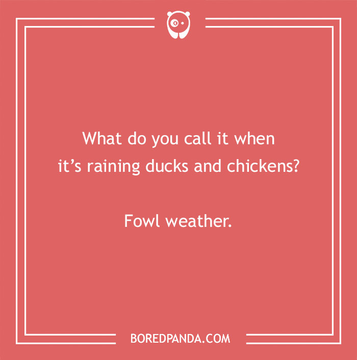 A humorous duck pun card reads, "What do you call it when it’s raining ducks and chickens? Fowl weather."