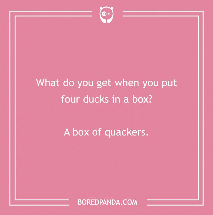 Text on a pink background reads: "What do you get when you put four ducks in a box? A box of quackers." Duck puns humor.