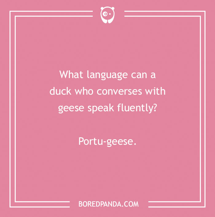 Duck pun joke on a pink background: “What language can a duck who converses with geese speak fluently? Portu-geese.” - 6
