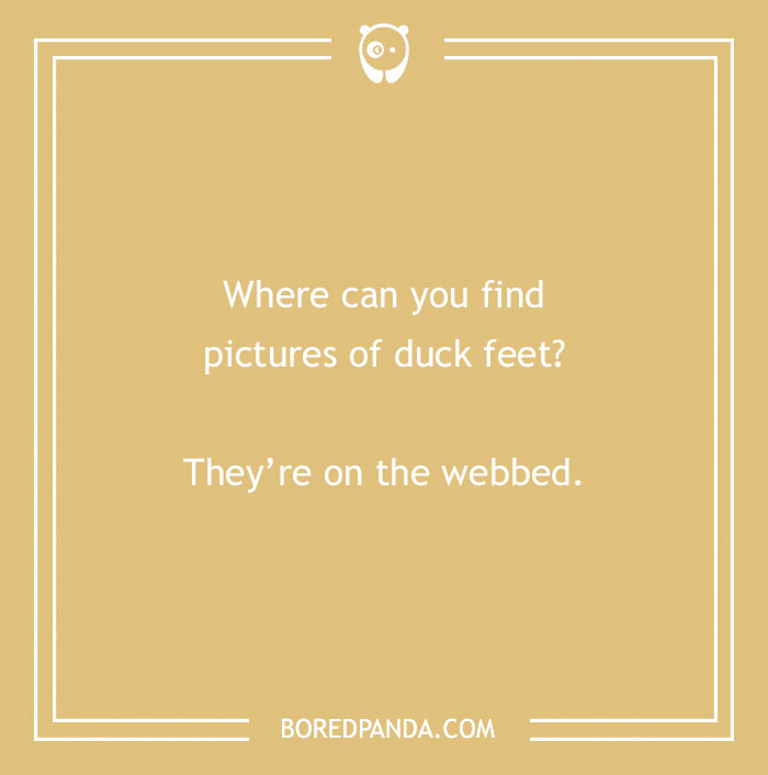 Text on a tan background: "Where can you find pictures of duck feet? They’re on the webbed." Duck puns humor.