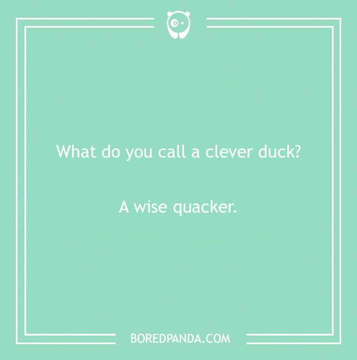 Duck pun reading "What do you call a clever duck? A wise quacker" on a mint green background.