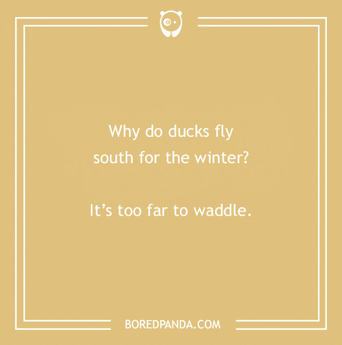 Duck pun: "Why do ducks fly south for the winter? It’s too far to waddle."