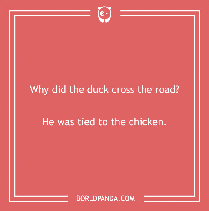 Red image with a duck pun: "Why did the duck cross the road? He was tied to the chicken."