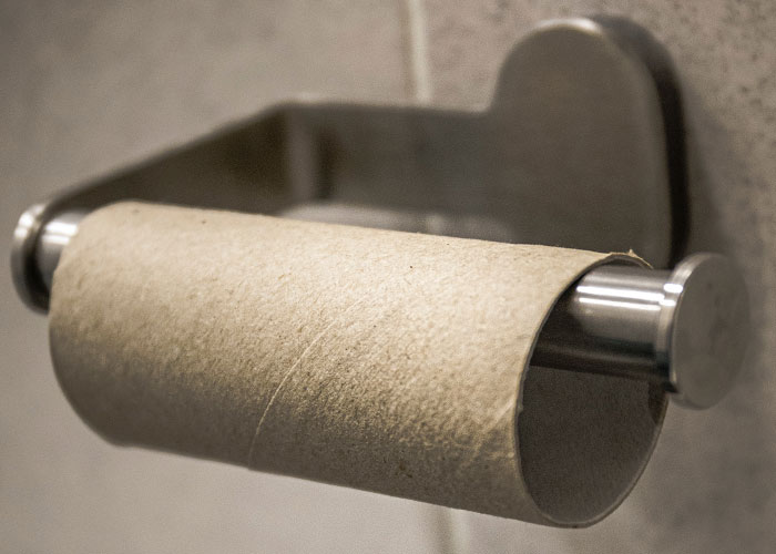 Family Of 4 Goes Through 3 Toilet Paper Rolls Per Day, Mom "Loses The Plot"