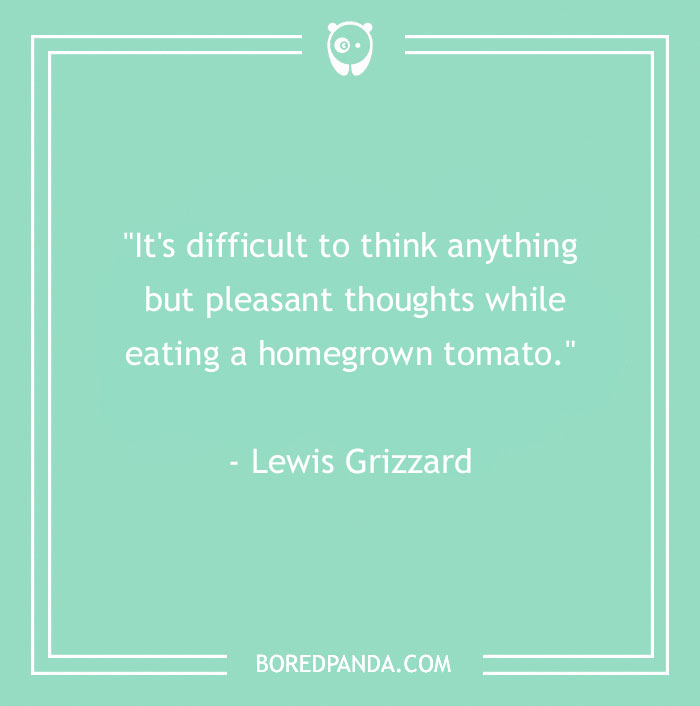 Food quote by Lewis Grizzard about pleasant thoughts while eating a homegrown tomato, themed for food quotes.