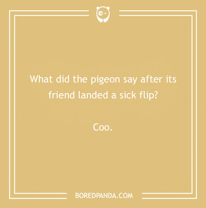 160 Bird Puns That Are Positively Owl-some