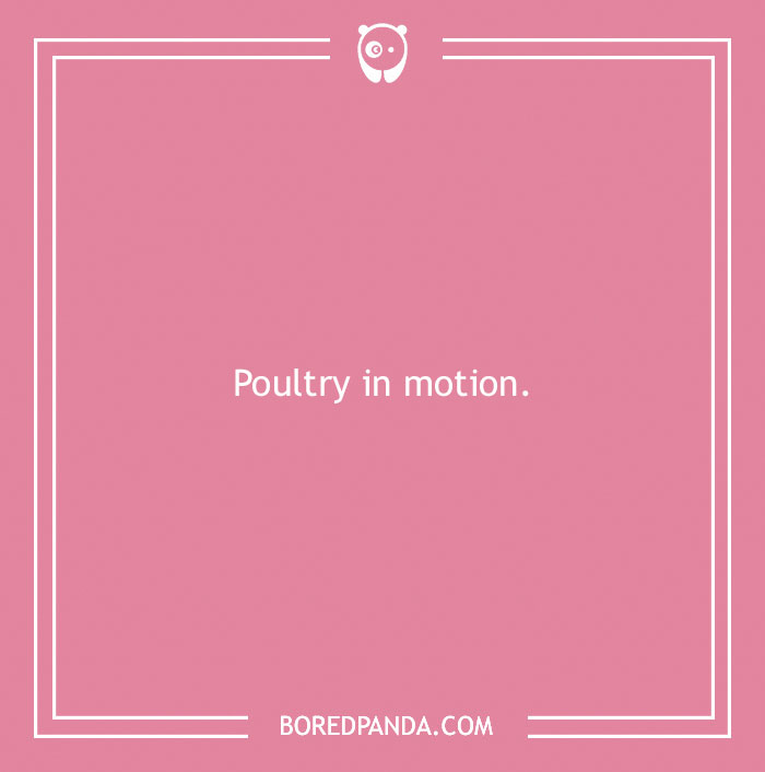 160 Bird Puns That Are Positively Owl-some