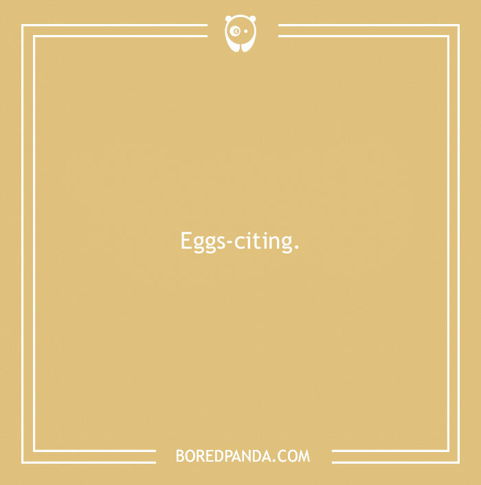 160 Bird Puns That Are Positively Owl-some