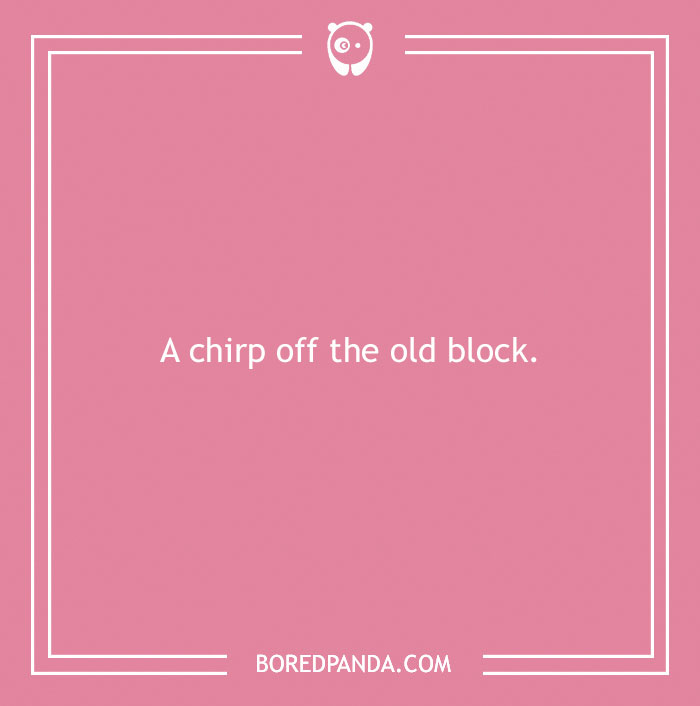 160 Bird Puns That Are Positively Owl-some