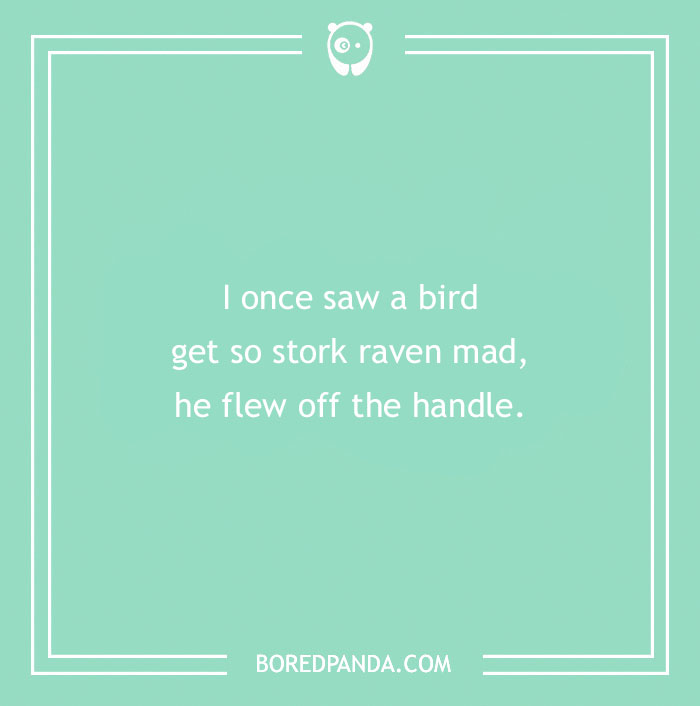 160 Bird Puns That Are Positively Owl-some