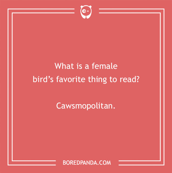 160 Bird Puns That Are Positively Owl-some