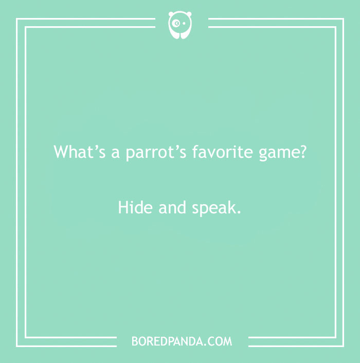 160 Bird Puns That Are Positively Owl-some