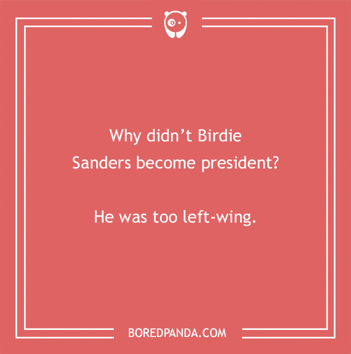 160 Bird Puns That Are Positively Owl-some