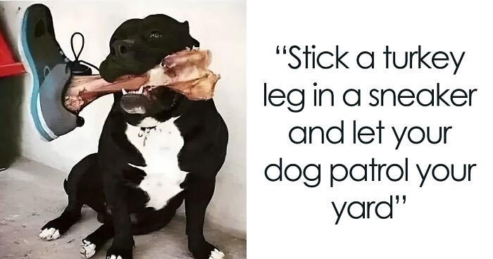 50 Times People Blessed Us With Funny “Brand New Sentences” (New Pics)